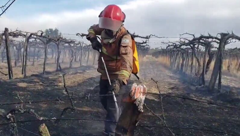 Las fuertes ráfagas de viento Zonda, provocó incendios en Mendoza.