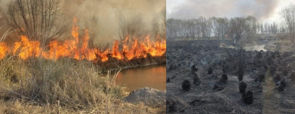 Incendios intencionales alertan a San Carlos y La Consulta.