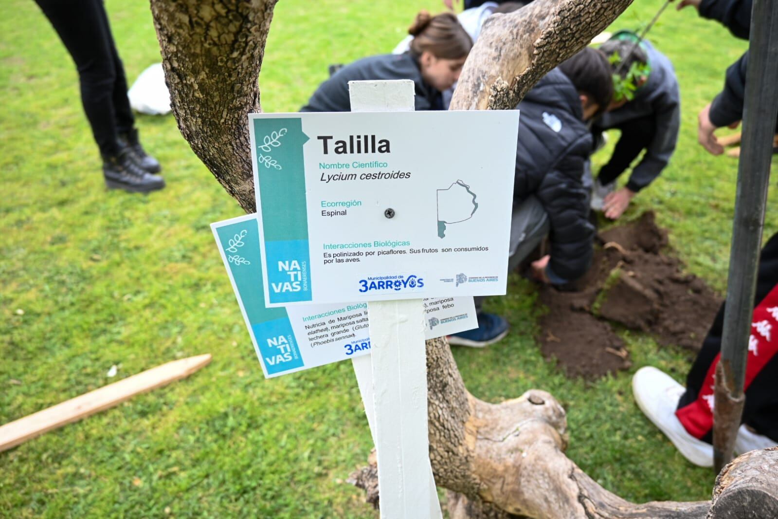 Estudiantes de la Escuela Secundaria Nº 2 plantaron árboles en la Plaza San Martín