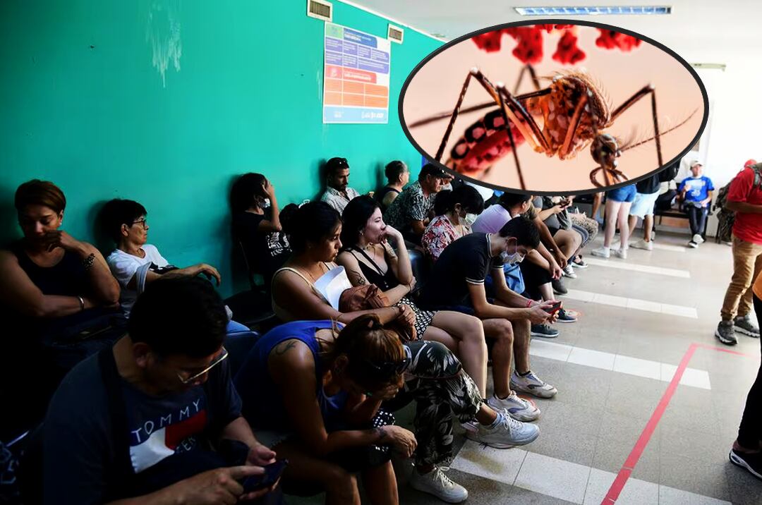 Dengue en Córdoba. Guardias repletas en hospitales. (La Voz)