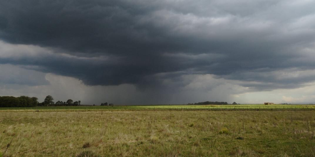 Temor en el campo por la ausencia de lluvias durante el invierno. 