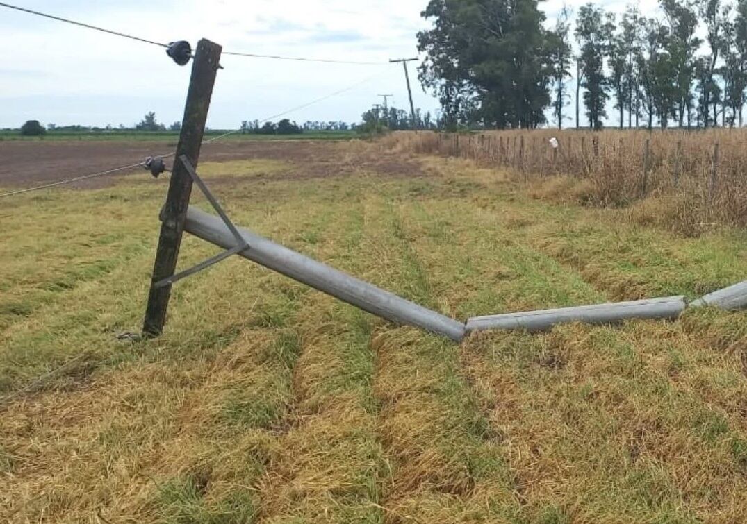 Guardia Electrica de CESPAL trabajaron para restituir el servicio eléctrico rural