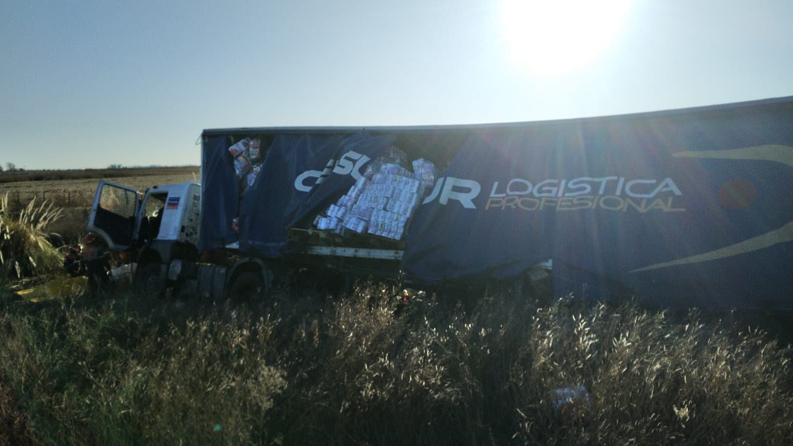 El camión volcó en la ruta.