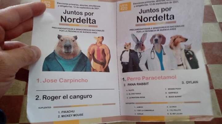 PASO 2021: aparecieron boletas de “Juntos por Nordelta” en una escuela de Bahía Blanca en referencia a los carpinchos de la zona