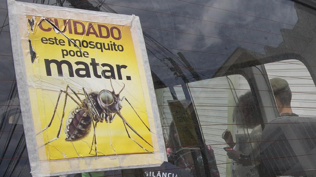 Vector. El mosquito Aedes aegypti también es  el que transmite el dengue y la chikunguña (AP).