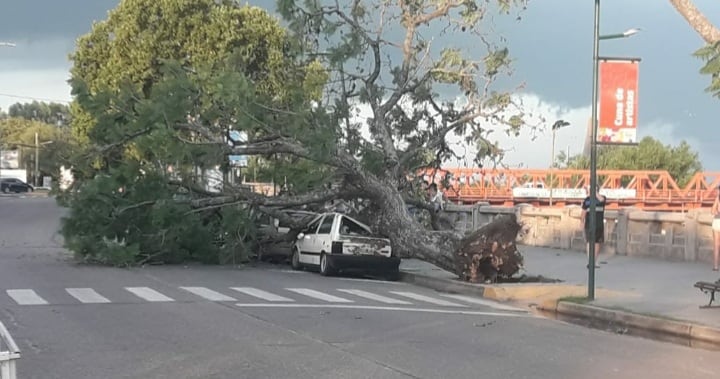 Fuerte tormenta de viento en Gualeguaychú destrozó automóviles/Redes