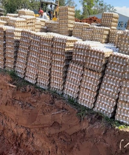 Uno de los sitios donde la avícola debió destruir los huevos.