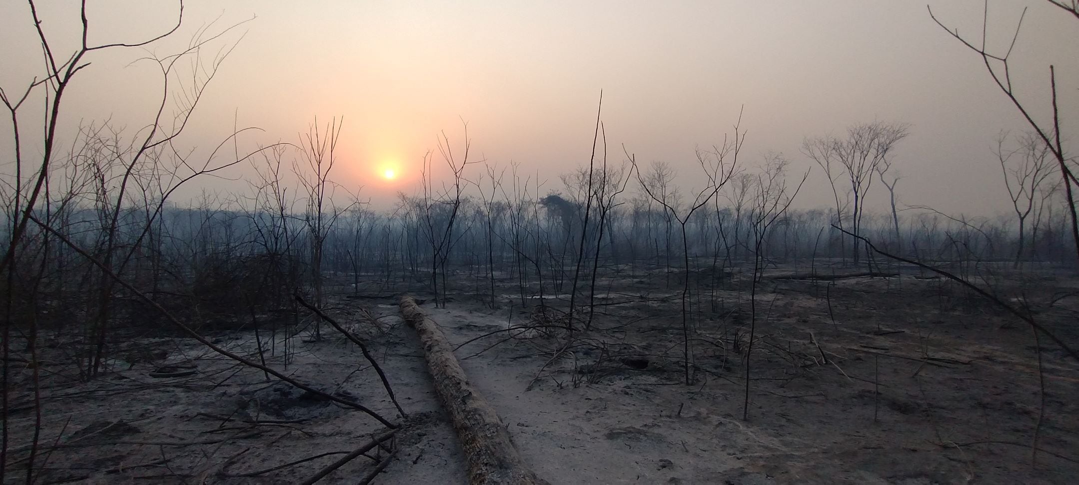 El suelo cubierto de cenizas y el aire saturado de humo, dantesco panorama que se ve en los montes del noreste jujeño por los incendios forestales de los últimos días.