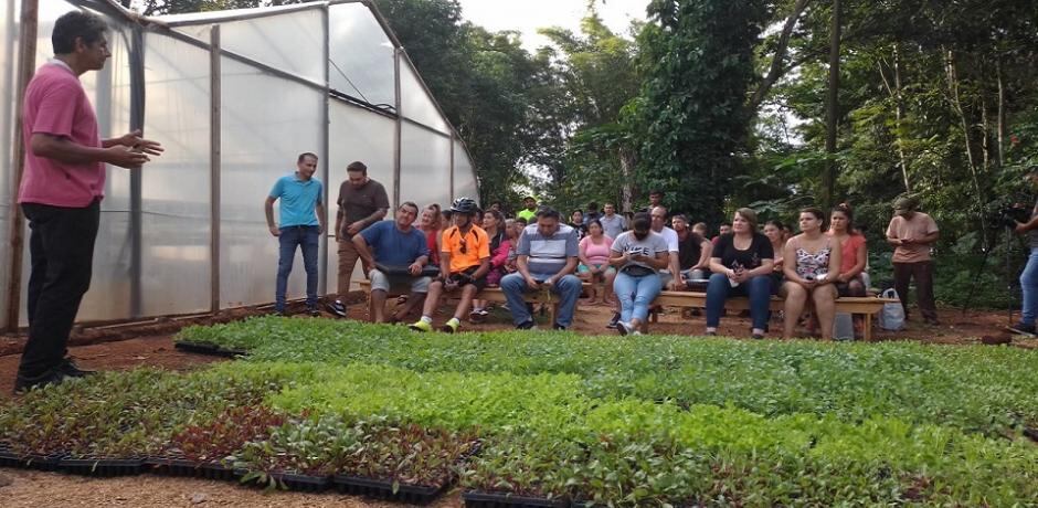 Hicieron entrega de plantines hortícolas en Eldorado.