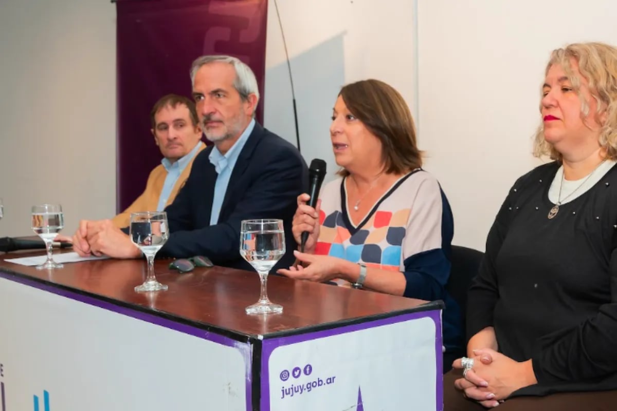 La coordinadora de Acciones Culturales y responsable del Centro de Visitantes de la empresa Ledesma, Leonor Calvó, dando detalles a los periodistas sobre la convocatoria 2025 del Premio Ledesma de Artes Visuales.