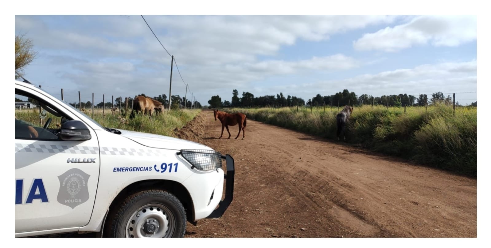 Intensa actividad del CPR Tres Arroyos