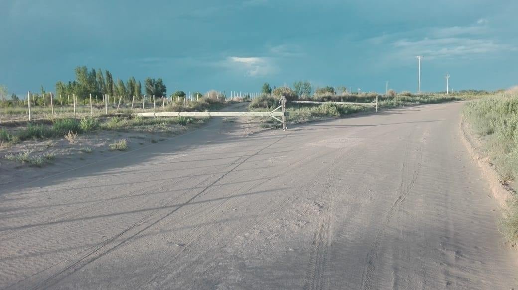 El jueves por la tarde se desató una tormenta de viento, lluvia y granizo que afectó San Rafael y Alvear. 