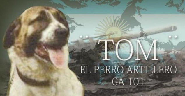 Tom se paraba al pie del cañón, cuando los argentinos repelían el ataque inglés.