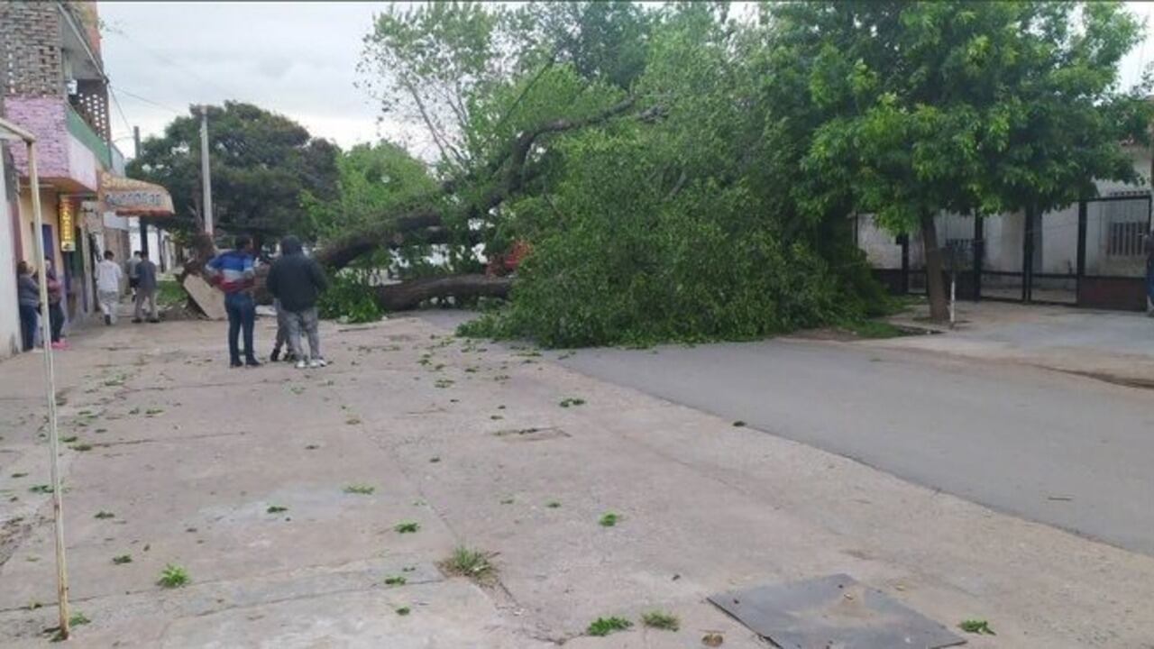 El fuerte viento provocó enormes destrozos en Rosario