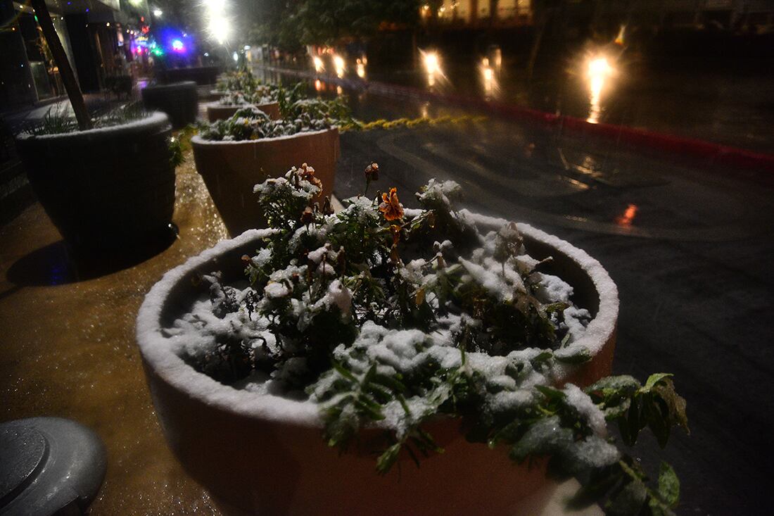 El centro de la capital de Córdoba se cubrió de nieve. (Pedro Castillo/ La Voz)