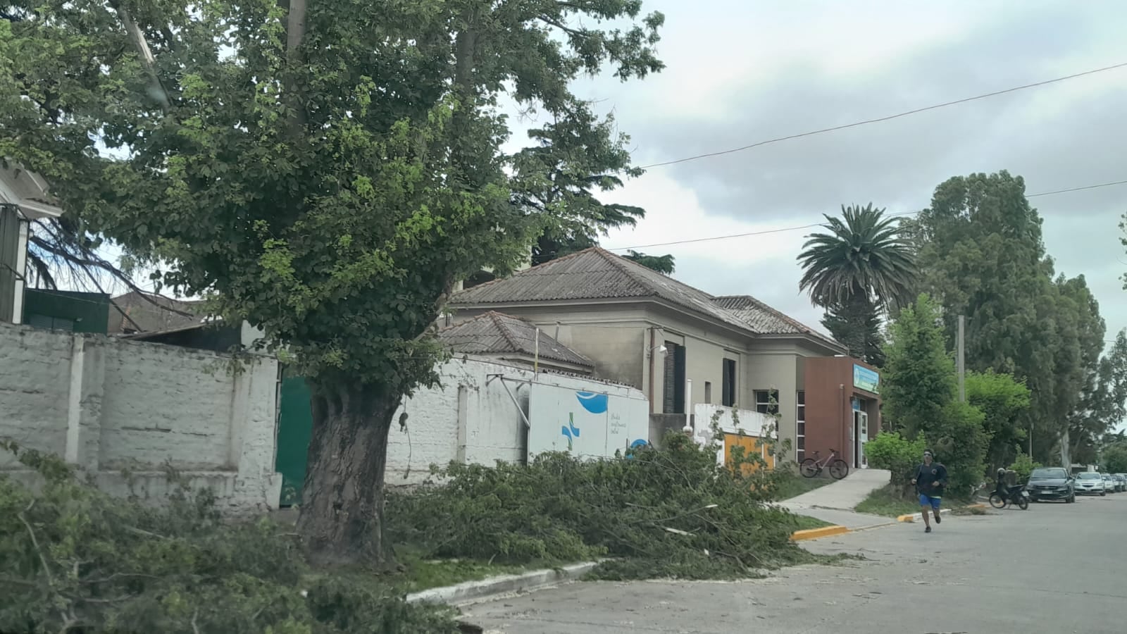 Temporal en Tres Arroyos: desde la Municipalidad piden a los vecinos colaborar con el orden y la limpieza