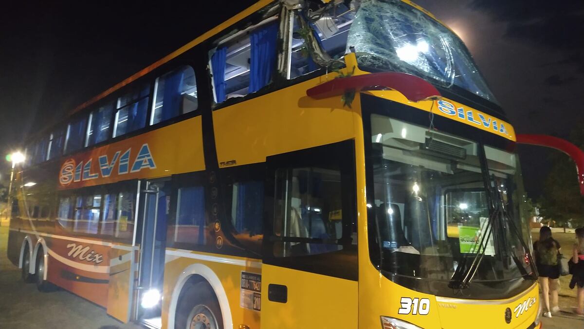 Falleció el conductor del colectivo que fue conducido por un pasajero y evitó una tragedia