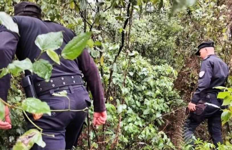 Afortunadamente, hallan sanos y salvos a los dos menores perdidos en San Pedro.