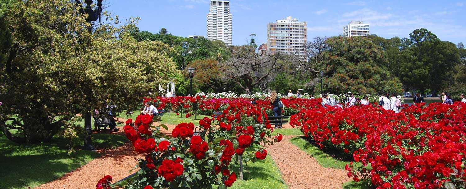 El Rosedal de Palermo en el florecimiento de las rosas