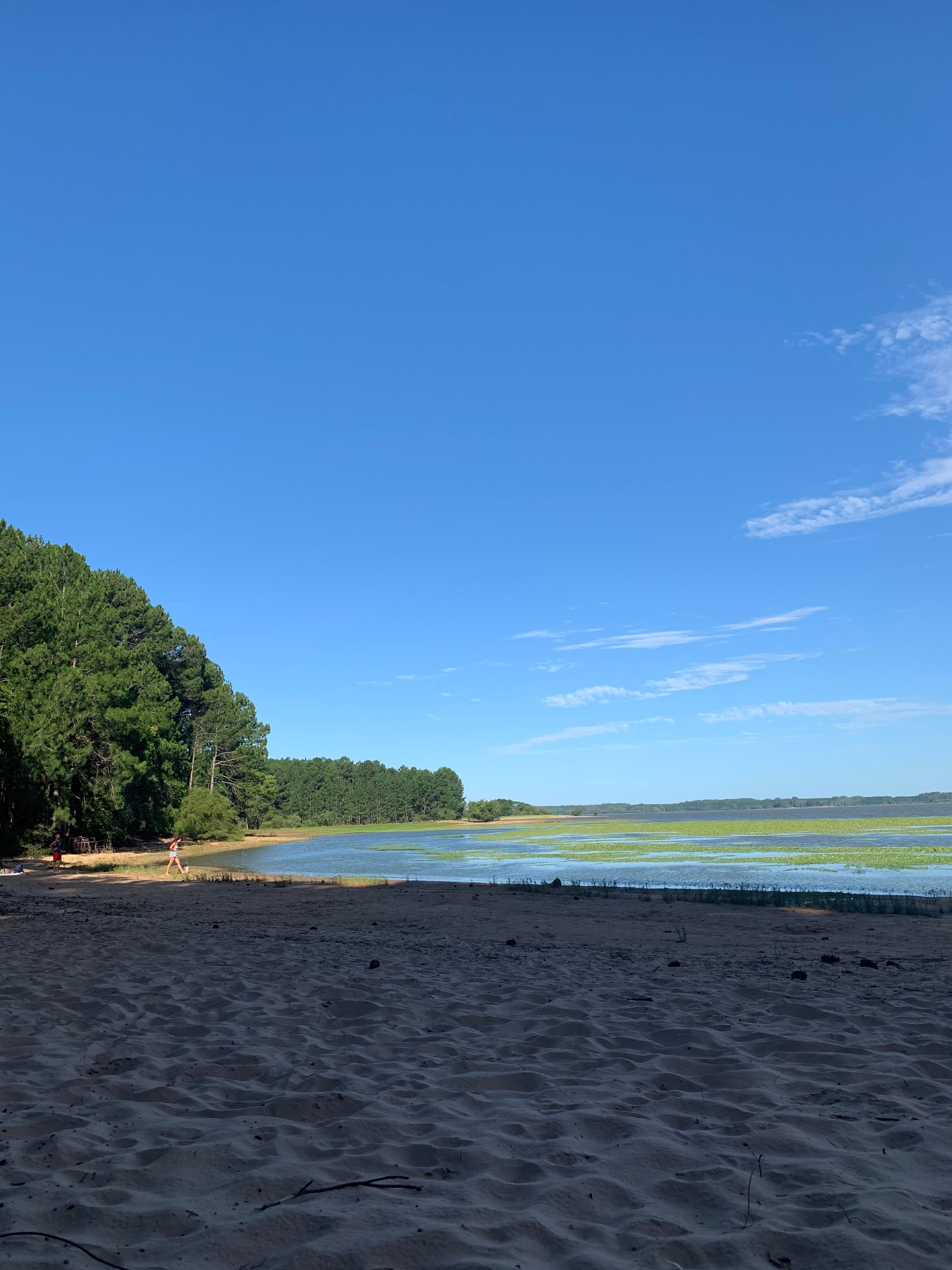 Ayer salí en la bici, fui hasta el lago.