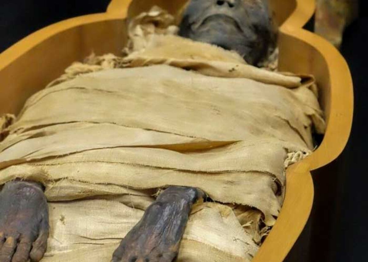 “Es muy solitario”: desenterró el cadáver de su mamá, lo momificó y lo sentó en el sofá de su casa