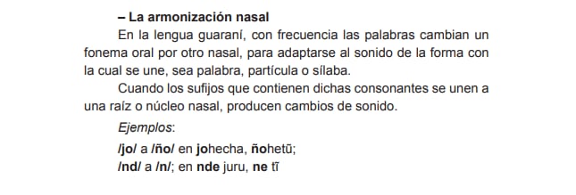 Captura de pantalla del libro sobre gramática guaraní de la Academia de Lengua Guaraní hecha el 13 de octubre de 2023.