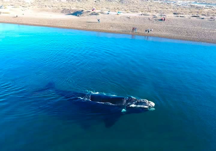 Así es la Playa Las Canteras, en Puerto Madryn