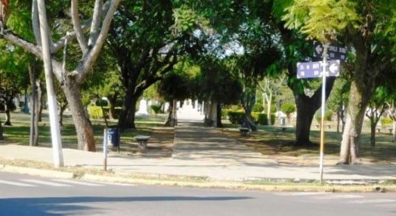 Vecinos del parque donde están los enjambres piden que se erradiquen.