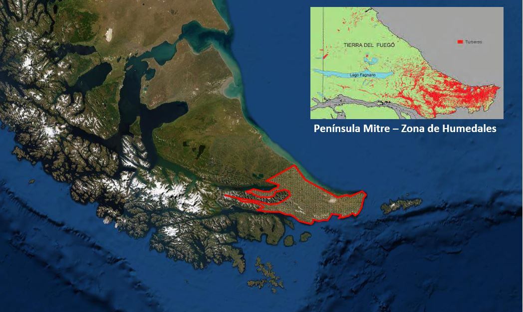 Península Mitre es uno de los humedales más grandes del mundo y es único por su función en la regulación de cuencas hídricas y mitigación de cambio climático. Península Mitre hoy almacena un total de 315 millones de toneladas métricas de carbono, el equivalente a más de tres años de emisiones de dióxido de carbono de toda la Argentina.