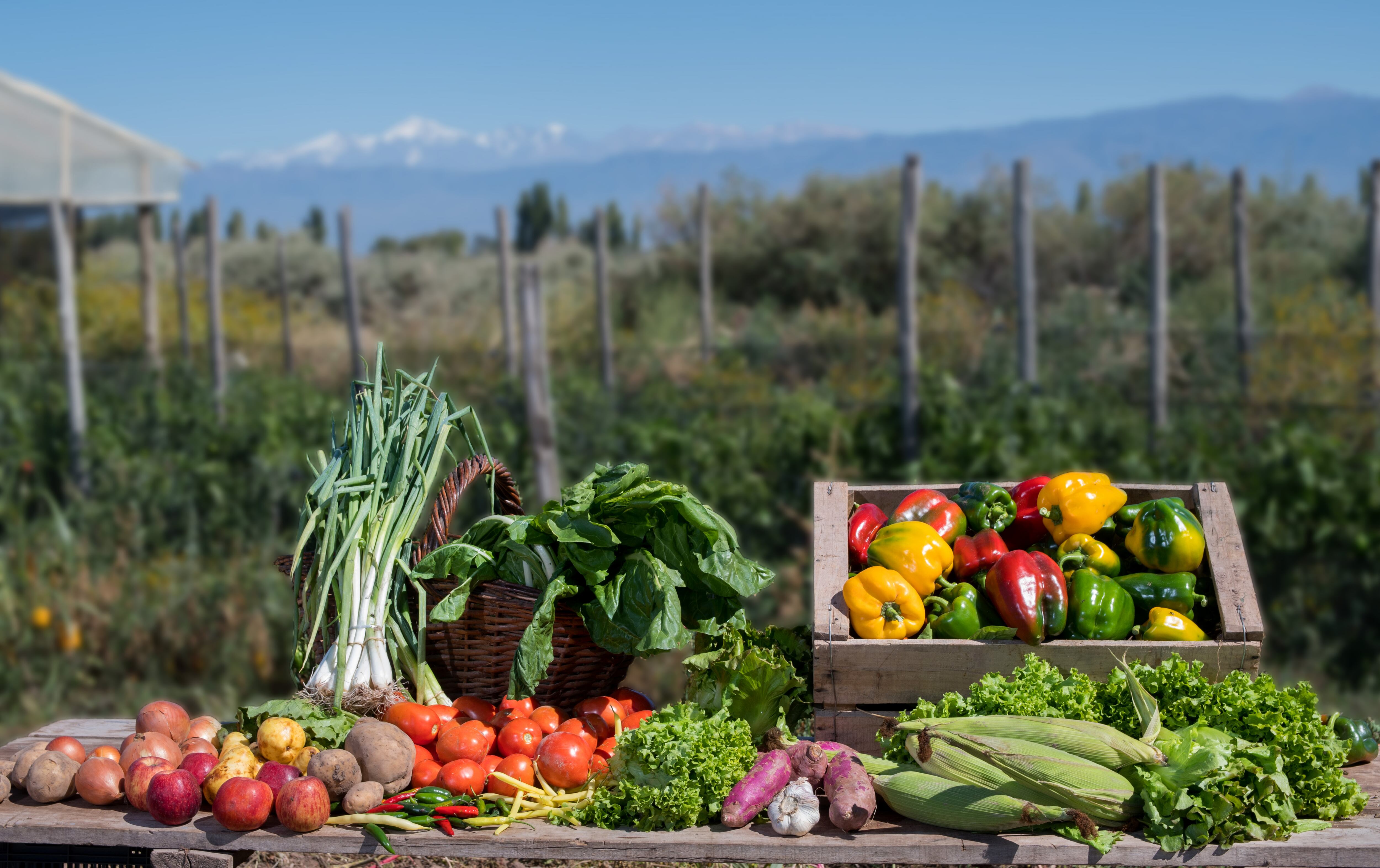 Inauguran un Almacén Campesino en Mendoza