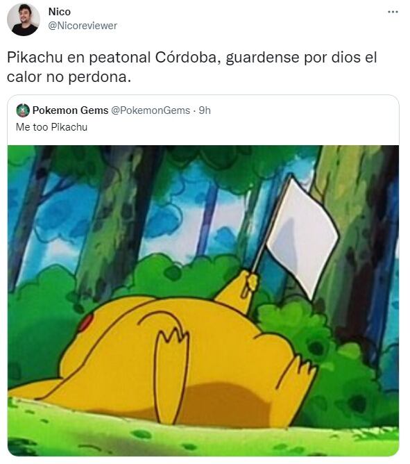 Pikachu pidiendo pido...se rindió.