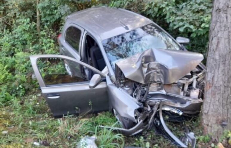 Accidente vial en El Alcázar: despistó e impactó contra un árbol.