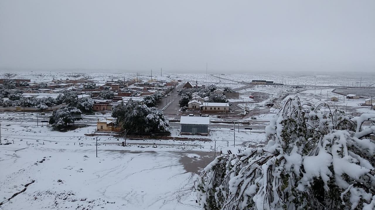 El pueblo de Tres Cruces, situado a 3.700 m.s.n.m., es el punto donde finaliza la Quebrada de Humahuaca y se abre paso la Puna jujeña. Allí el verano sorprendió este viernes a los trescruceños con una copiosa nevada.