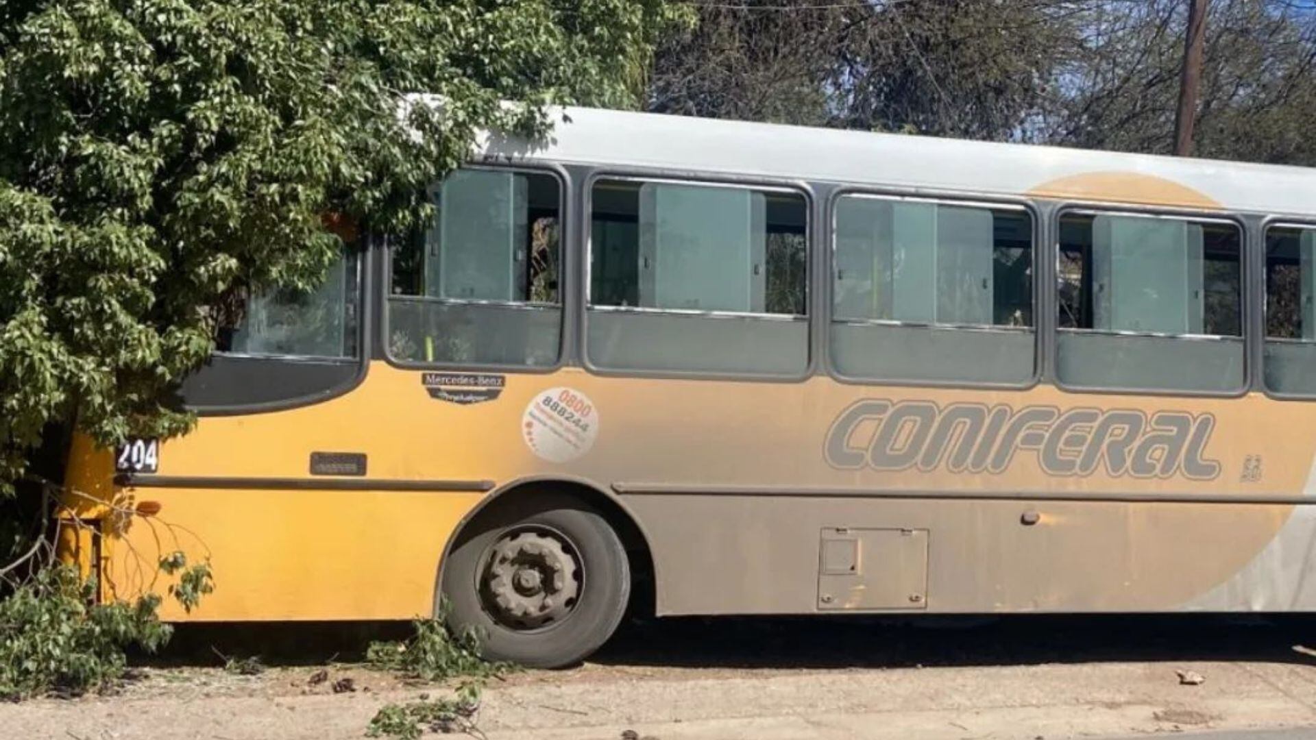 Afortunadamente, no se registraron heridos. El chofer pudo ser reanimado.