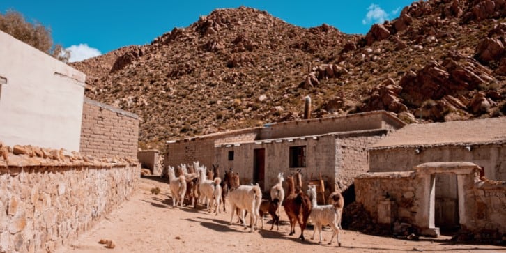 Localidad de San Francisco de Alfarcito.