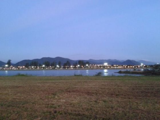 Gran variedad de anfibios encontrados en el Parque del Bicentenario de Salta.