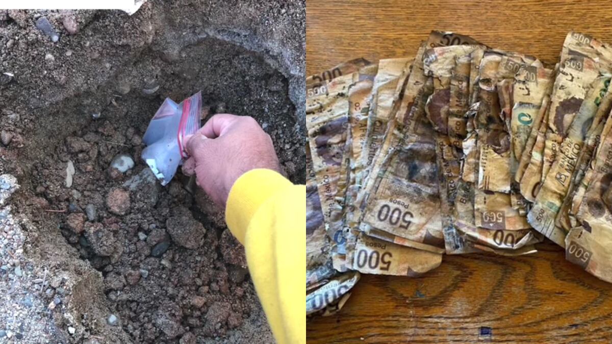 Video: perdió todos sus ahorros luego de esconderlos bajo tierra húmeda