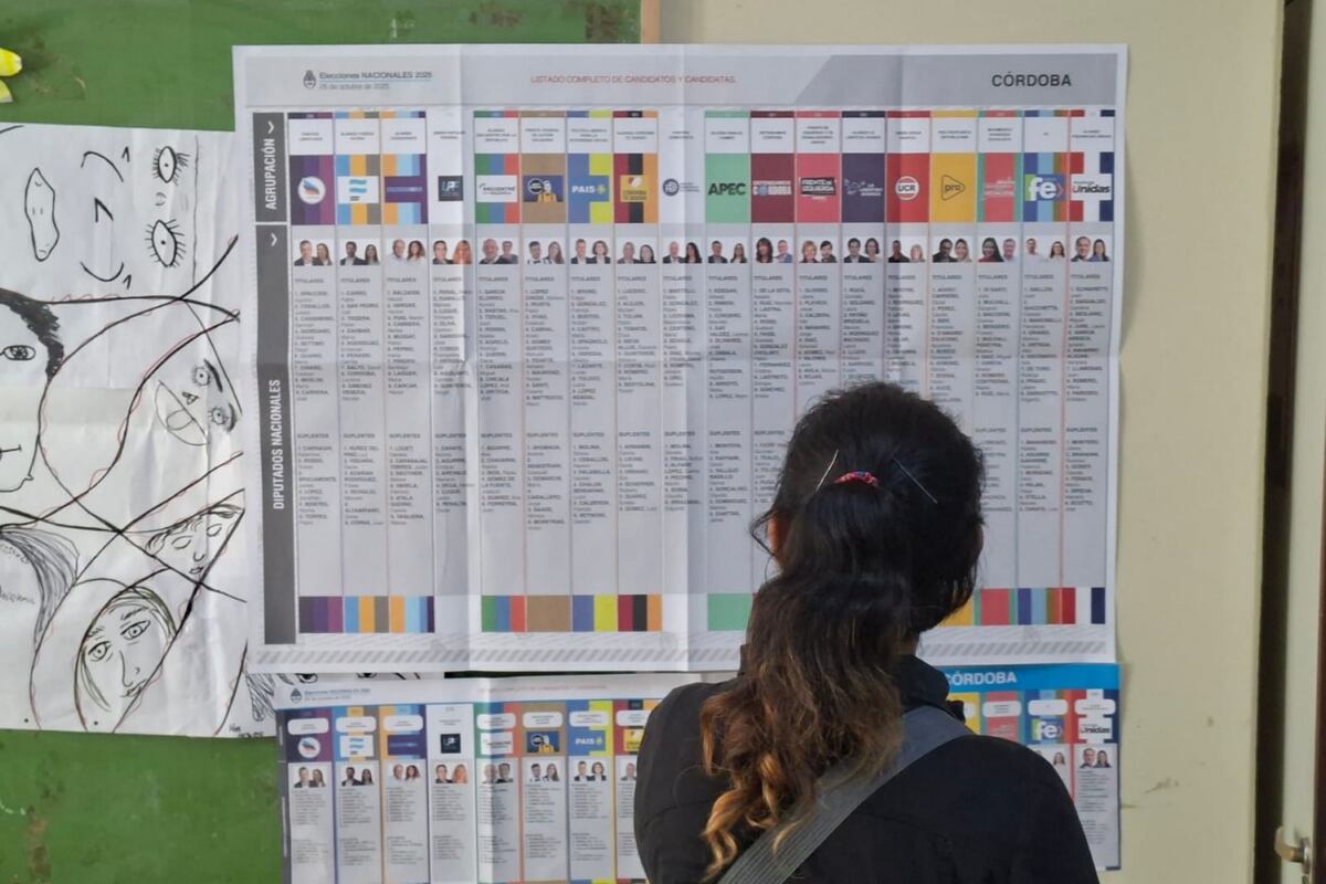Elecciones 2025: cuántas bancas obtuvo cada fuerza este domingo