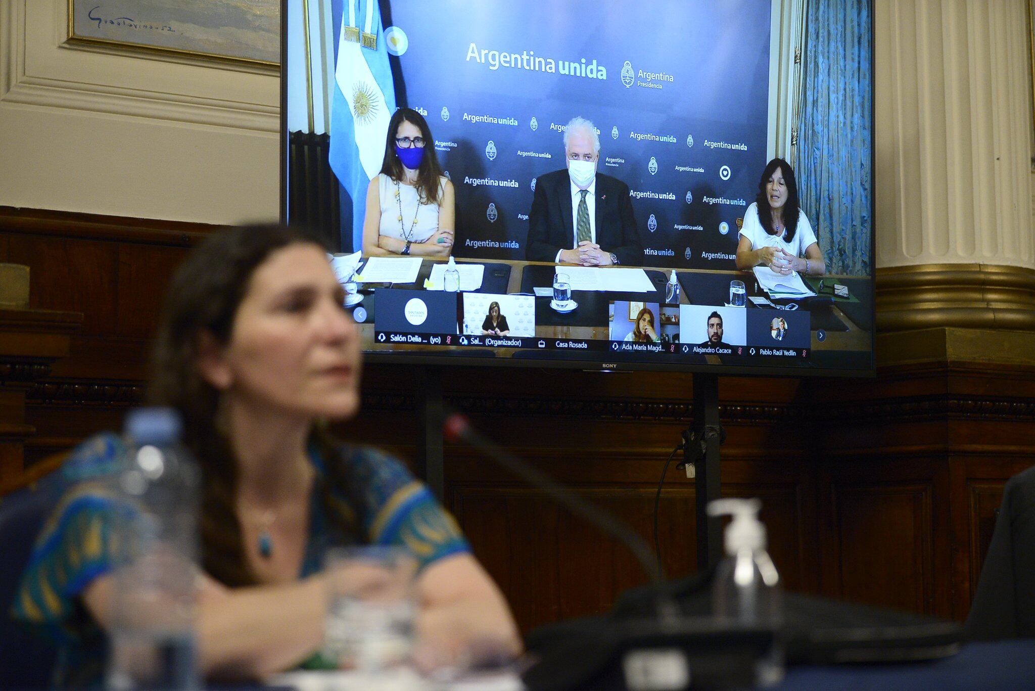 Debate por la Legalización del aborto.