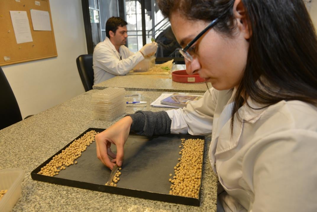 Laboratorio de cereales