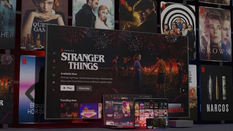 La plataforma de streaming Netflix.