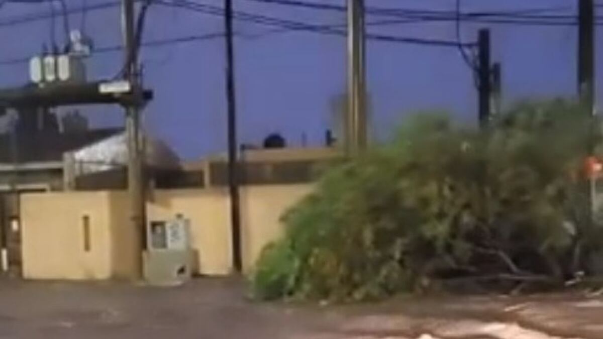 El video con las fuertes lluvias en el sur de Córdoba: apagón, voladura de techo y un árbol arrastrado
