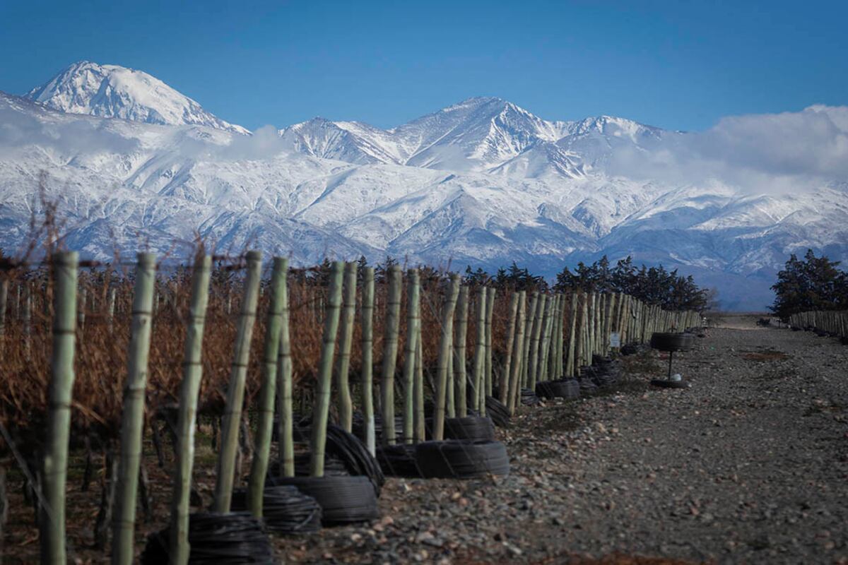 Mendoza entre los 100 mejores lugares del mundo según la revista Time