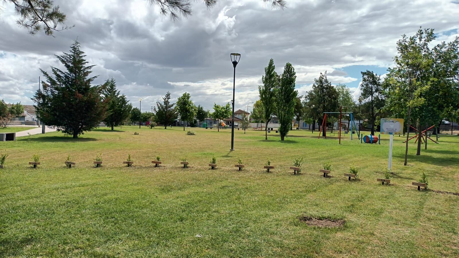 Tres Arroyos, Gestándonos en comunidad plantó árboles en la plaza del barrio Villa Italia