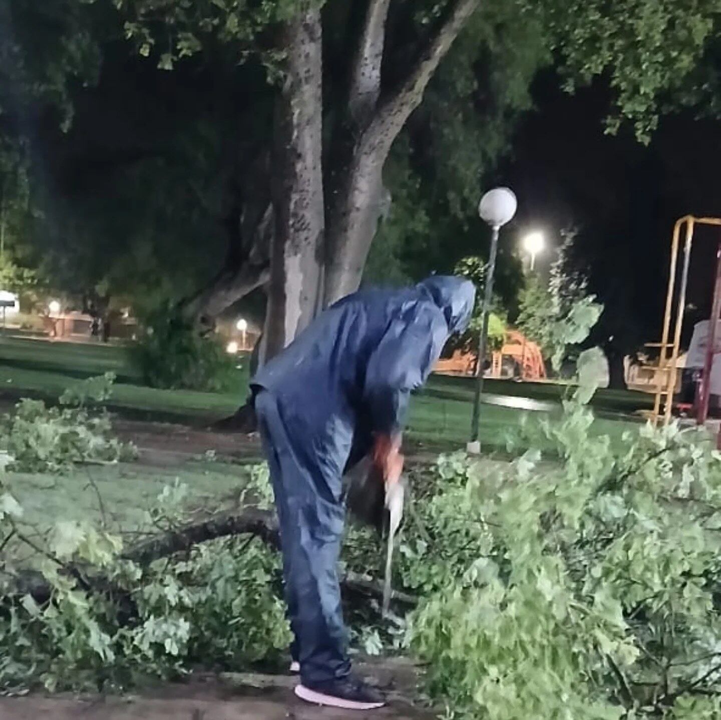 Ramas caídas en Arroyito por el temporal