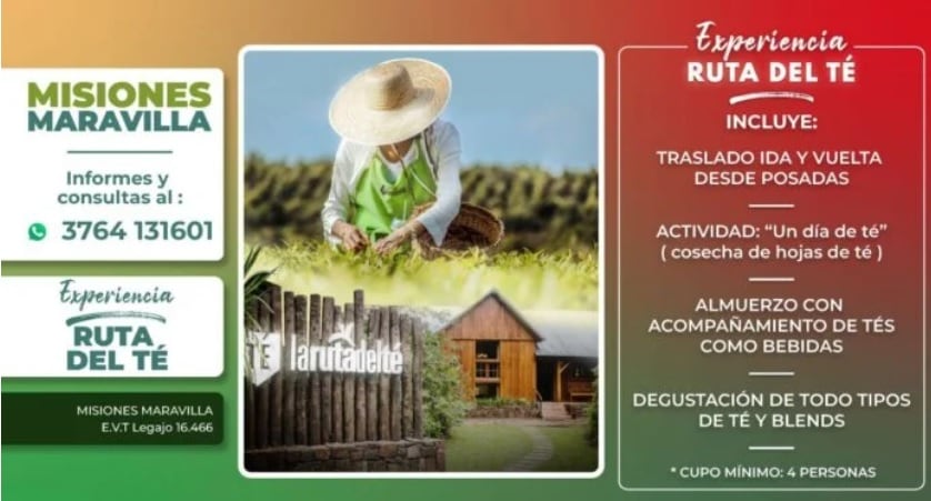 Viví una experiencia placentera y disfrutá conociendo la Ruta del Té con Misiones Maravilla EVT.