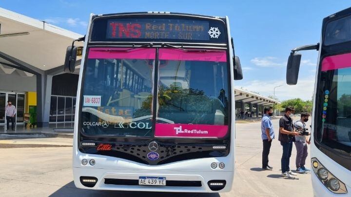 Presentaron el nuevo diseño del transporte público de pasajeros Red Tulum