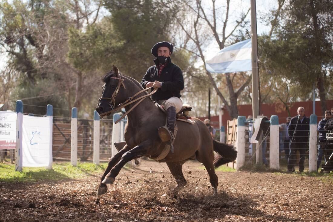 Con el Día de Campo se pesentó oficialmente la 40 Fiesta de la Ganadería en Alvear.