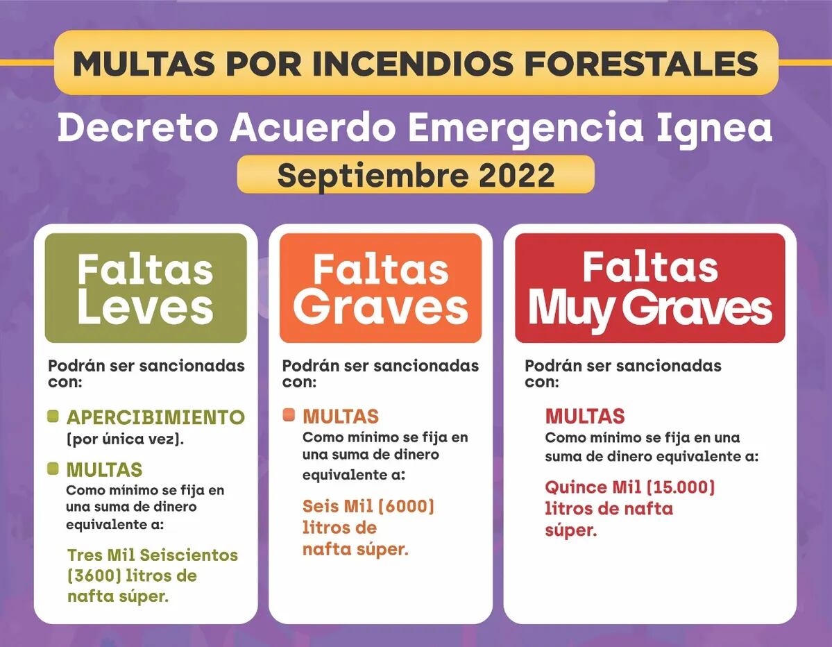 La escala de faltas y los valores de las correspondientes multas, según quedó estipulado en un decreto emitido por el Poder Ejecutivo jujeño.