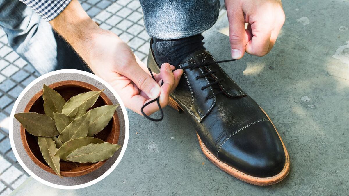 Cuál es el significado de colocar una hoja de laurel en el zapato, según el Feng Shui